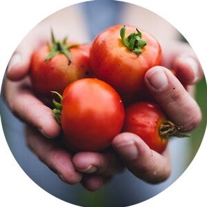 vegetables