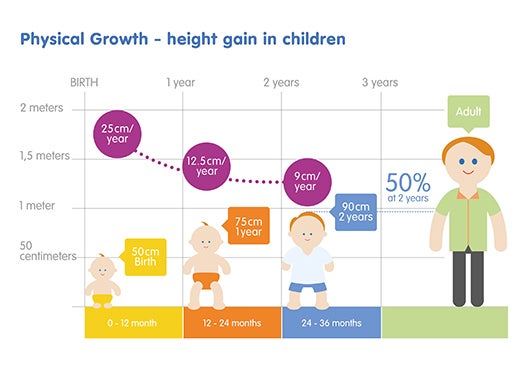 Infographic of children's height growth. In the first year they are expected to gain 25cm. In the second and third year 12.5cm and 9cm, respectively. Between the ages of 2-3 years they will reach 50% of their adult height.