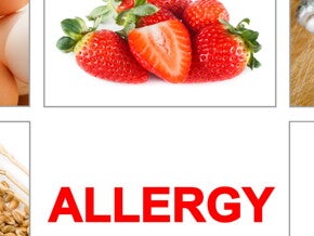 Reducing the risk of allergy Reducing the risk of allergy