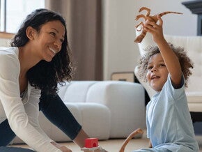 Introducing Developmental Milestones Introducing Developmental Milestones