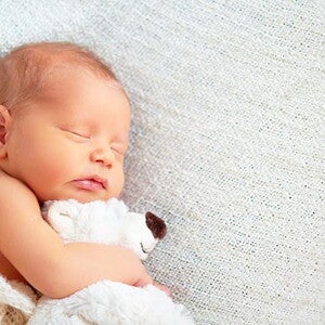 baby_thrush2.jpg