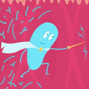 5 reasons why we use Bifidobacterium lactis