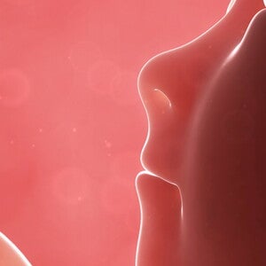 Third Trimester