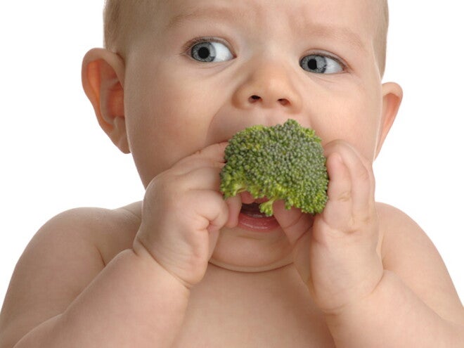 Picky eater Picky eater