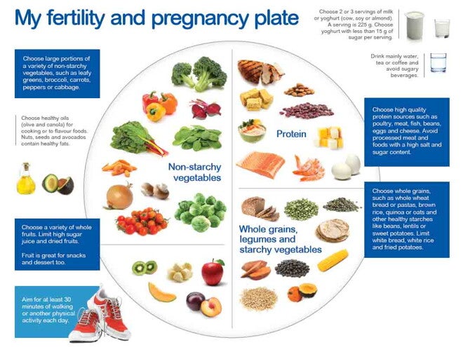 plate copy.jpg plate copy.jpg