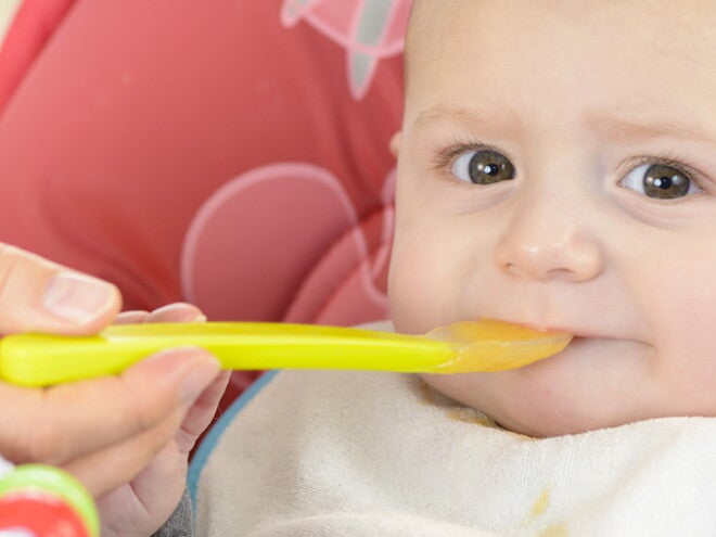 The Learner Eater from around six months The Learner Eater from around six months