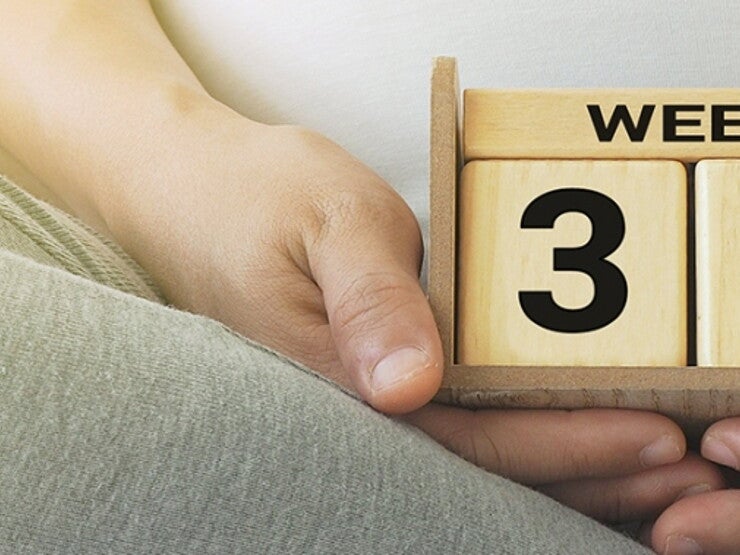 1440x420_preganancy weekly calendar (1).jpg 1440x420_preganancy weekly calendar (1).jpg
