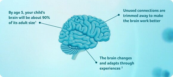 Brain image captions Brain image captions